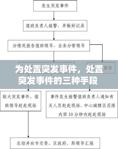 为处置突发事件，处置突发事件的三种手段 