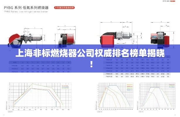 上海非标燃烧器公司权威排名榜单揭晓！