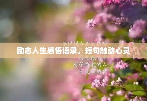 励志人生感悟语录，短句触动心灵