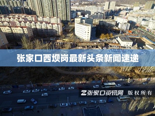张家口西坝岗最新头条新闻速递
