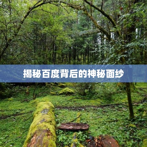 揭秘百度背后的神秘面纱