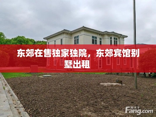东郊在售独家独院，东郊宾馆别墅出租 