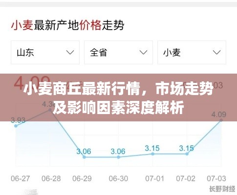 小麦商丘最新行情，市场走势及影响因素深度解析