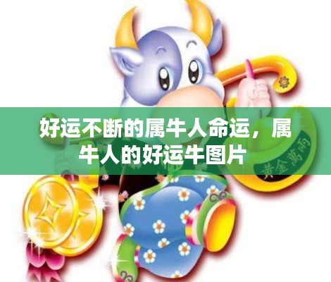 好运不断的属牛人命运，属牛人的好运牛图片 