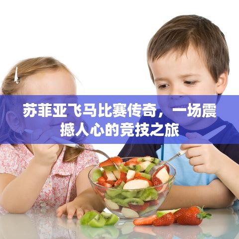 苏菲亚飞马比赛传奇，一场震撼人心的竞技之旅
