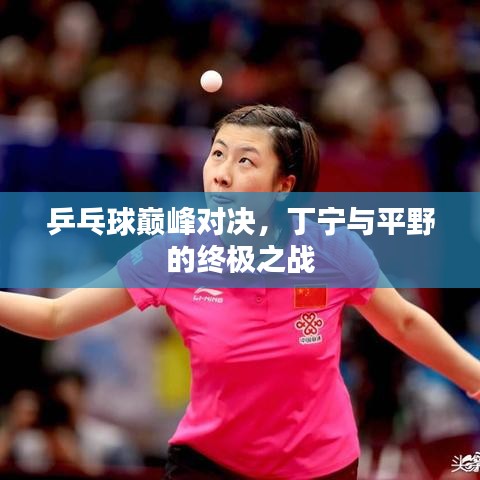 乒乓球巅峰对决，丁宁与平野的终极之战