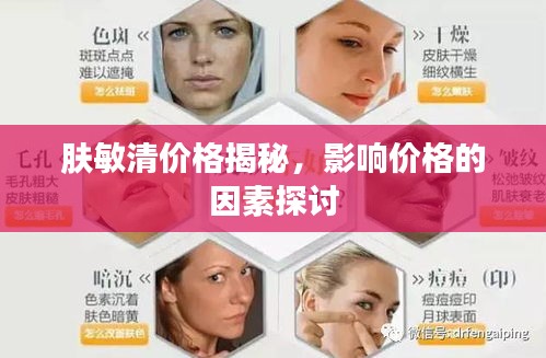 新闻中心 第32页