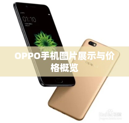 OPPO手机图片展示与价格概览