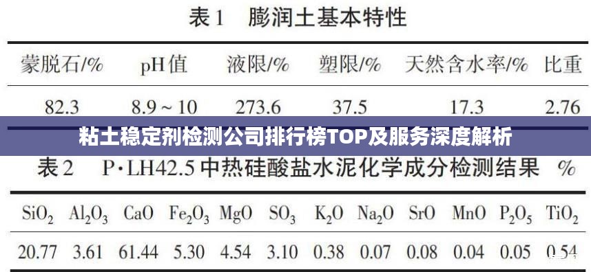 粘土稳定剂检测公司排行榜TOP及服务深度解析