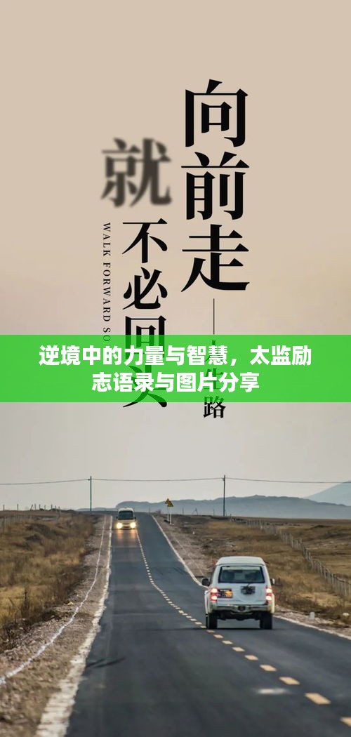 逆境中的力量与智慧，太监励志语录与图片分享