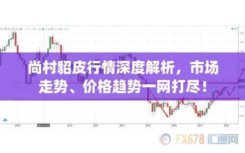 尚村貂皮行情深度解析，市场走势、价格趋势一网打尽！