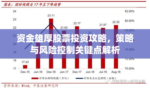 资金雄厚股票投资攻略，策略与风险控制关键点解析