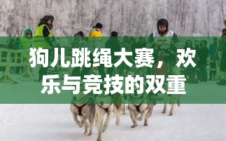 狗儿跳绳大赛，欢乐与竞技的双重盛宴