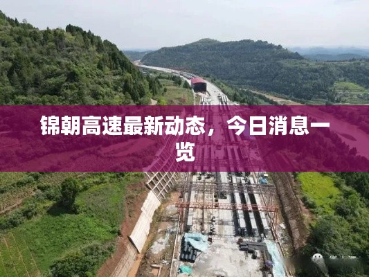 锦朝高速最新动态，今日消息一览