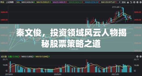 秦文俊，投资领域风云人物揭秘股票策略之道