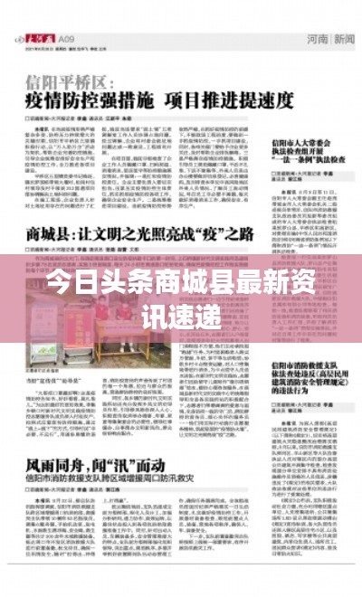 今日头条商城县最新资讯速递