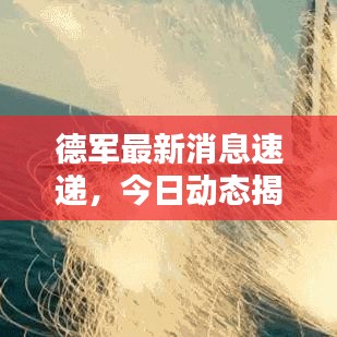 德军最新消息速递，今日动态揭秘