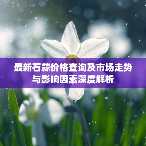 最新石蒜价格查询及市场走势与影响因素深度解析
