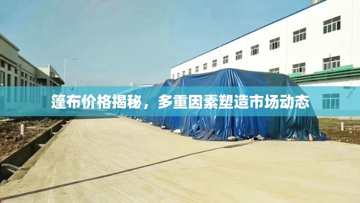 篷布价格揭秘，多重因素塑造市场动态