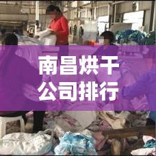 南昌烘干公司排行榜揭晓，行业内领先企业榜单