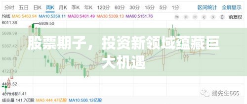 股票期子，投资新领域蕴藏巨大机遇