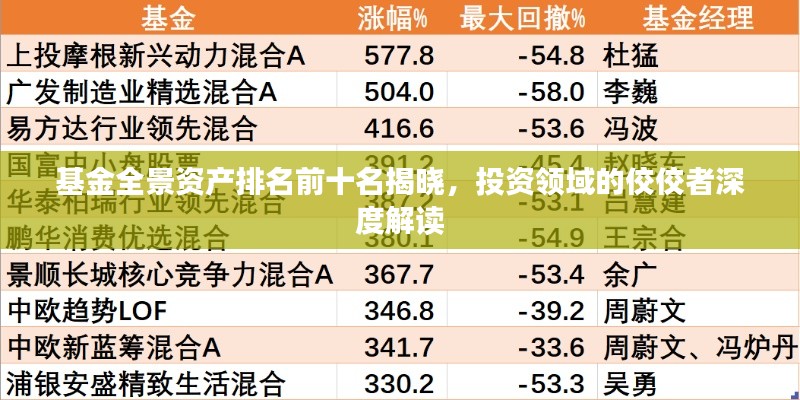 基金全景资产排名前十名揭晓，投资领域的佼佼者深度解读
