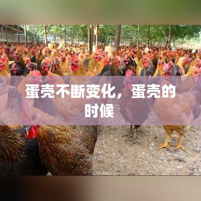蛋壳不断变化，蛋壳的时候 