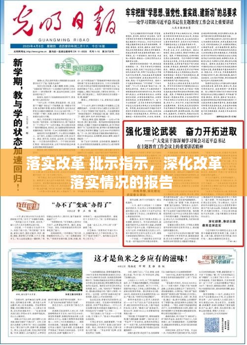 落实改革 批示指示，深化改革落实情况的报告 