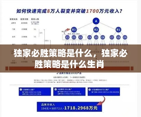 关于我们 第31页