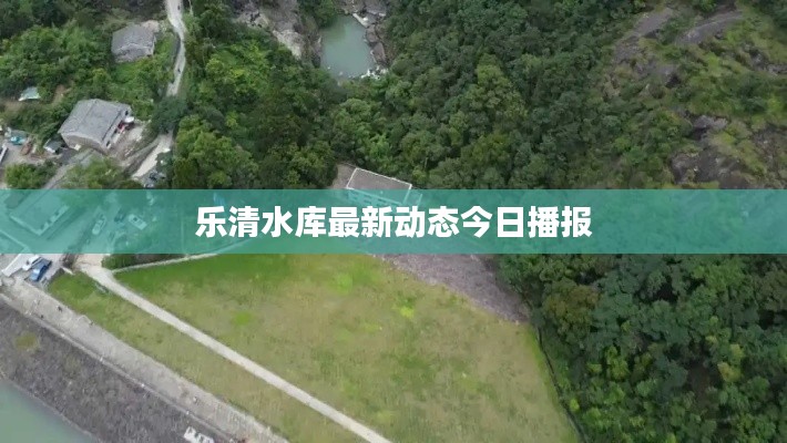 乐清水库最新动态今日播报