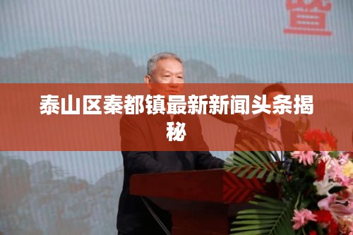 泰山区秦都镇最新新闻头条揭秘
