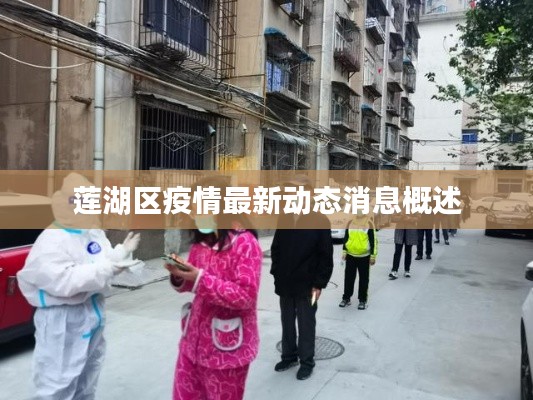 莲湖区疫情最新动态消息概述
