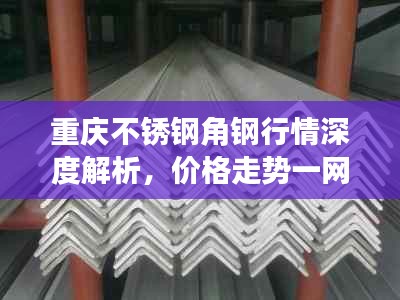 重庆不锈钢角钢行情深度解析，价格走势一网打尽！