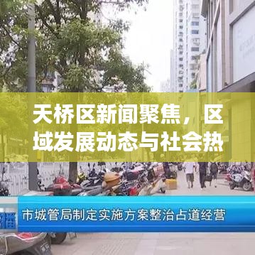 天桥区新闻聚焦，区域发展动态与社会热点全掌握