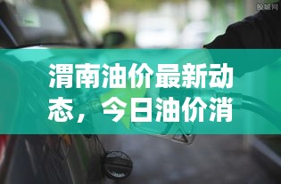 渭南油价最新动态，今日油价消息一览表