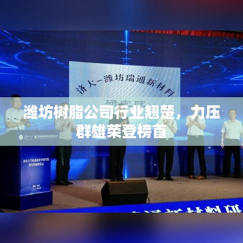 潍坊树脂公司行业翘楚，力压群雄荣登榜首