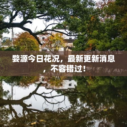 婺源今日花况，最新更新消息，不容错过！