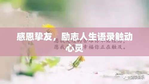 感恩挚友，励志人生语录触动心灵