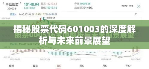 揭秘股票代码601003的深度解析与未来前景展望