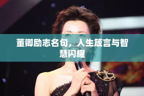董卿励志名句，人生箴言与智慧闪耀