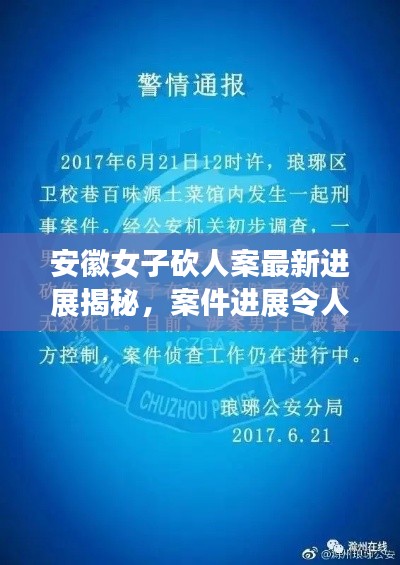 安徽女子砍人案最新进展揭秘，案件进展令人震惊！