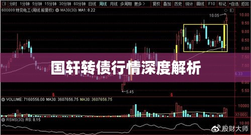 国轩转债行情深度解析
