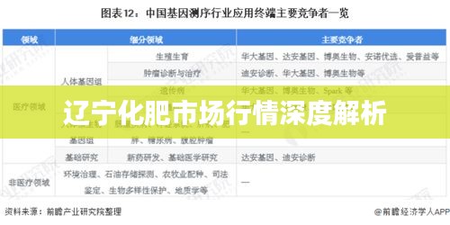 辽宁化肥市场行情深度解析