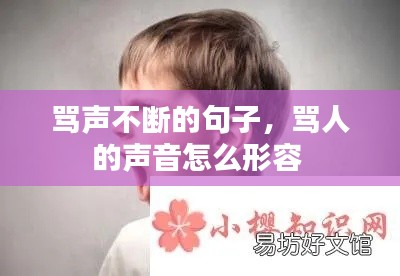 骂声不断的句子，骂人的声音怎么形容 