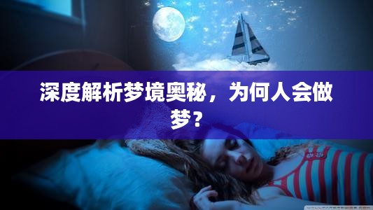 深度解析梦境奥秘，为何人会做梦？