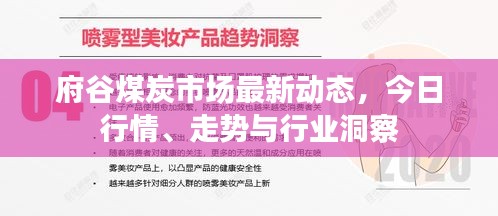 府谷煤炭市场最新动态，今日行情、走势与行业洞察
