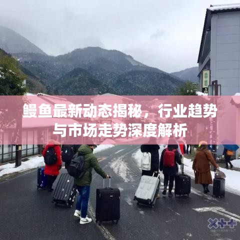 鳗鱼最新动态揭秘，行业趋势与市场走势深度解析