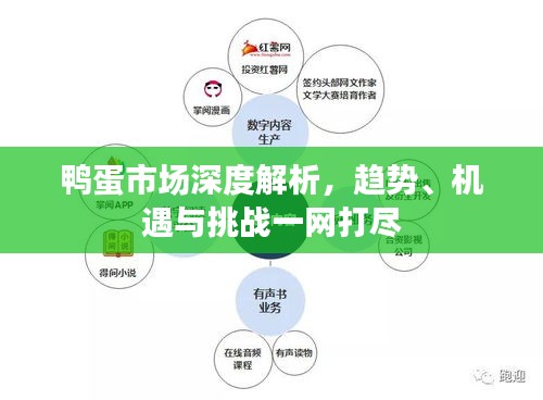 鸭蛋市场深度解析，趋势、机遇与挑战一网打尽