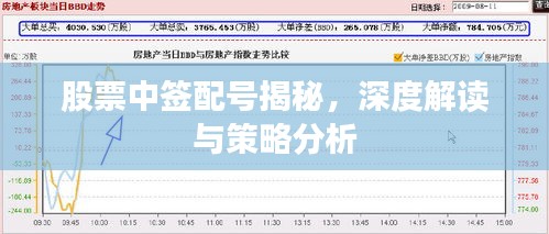 股票中签配号揭秘，深度解读与策略分析