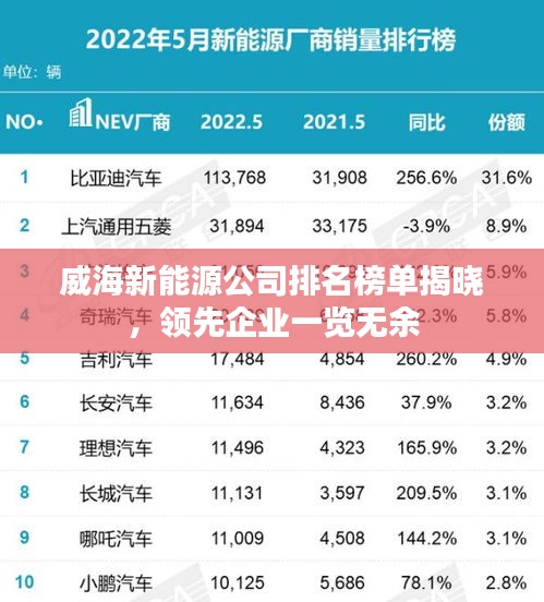 威海新能源公司排名榜单揭晓，领先企业一览无余